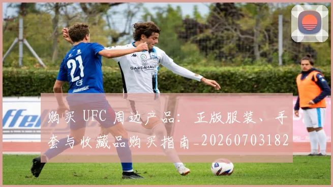 购买 UFC 周边产品：正版服装、手套与收藏品购买指南_20260703182002