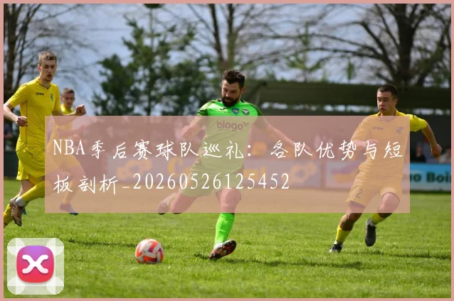 NBA季后赛球队巡礼：各队优势与短板剖析_20260526125452